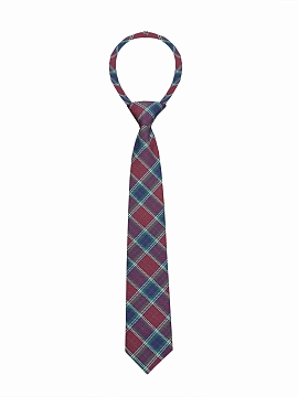 Галстук Рио комби Руслана(GAL-033/372)
