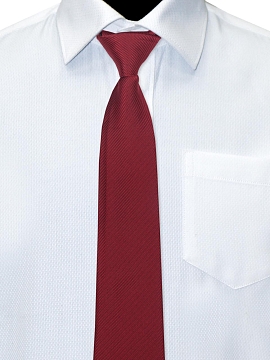 Галстук Рио (GAL-033/351)