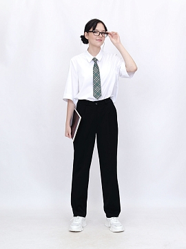 Школьные брюки Агат (ШФ-2462)