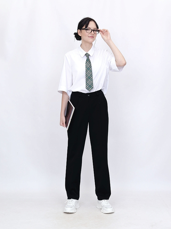 Школьные брюки Агат (ШФ-2462)