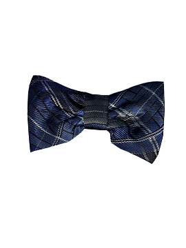 Бабочка Рио комби (GAL-05/208)