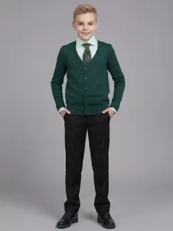 Вязаный кардиган для мальчика Даниил (ШФ-989)